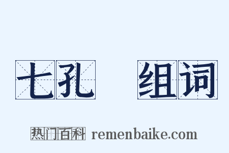 七孔鍼组词是什么意思的图片